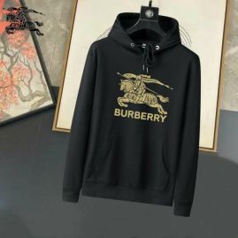 Picture of Burberry Hoodies _SKUBurberryM-3XL25tn0110217